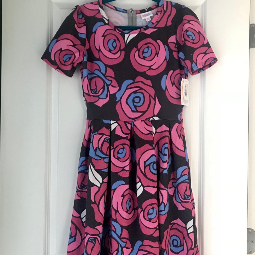 Rare Disney Pink & Blue Rose LulaRoe Amelia Dress